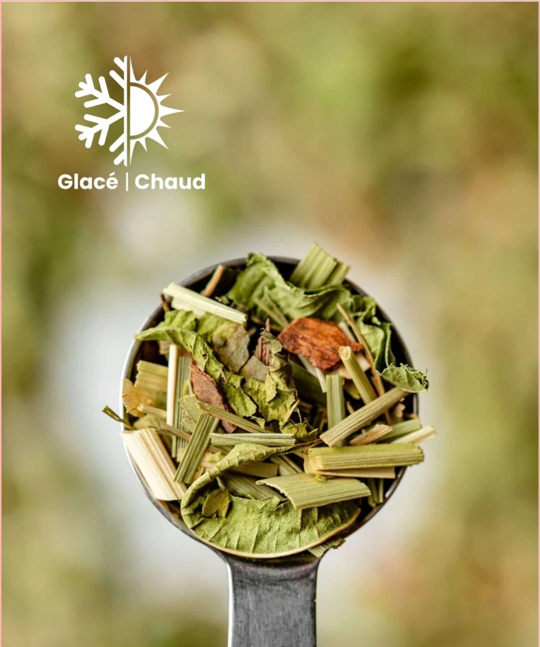 TEA SFUSO BIO🌱 PER INFUSIONI BIO